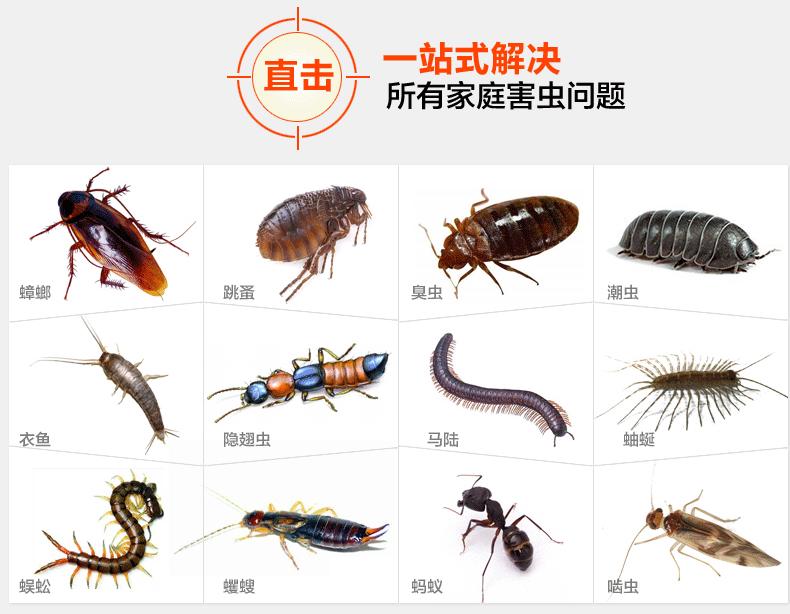蟑螂的成長特性介紹