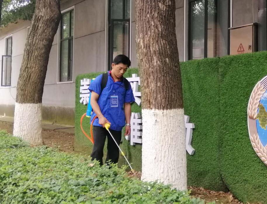 江堤大壩水庫水利白蟻治理