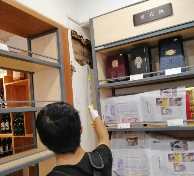 家庭白蟻防治