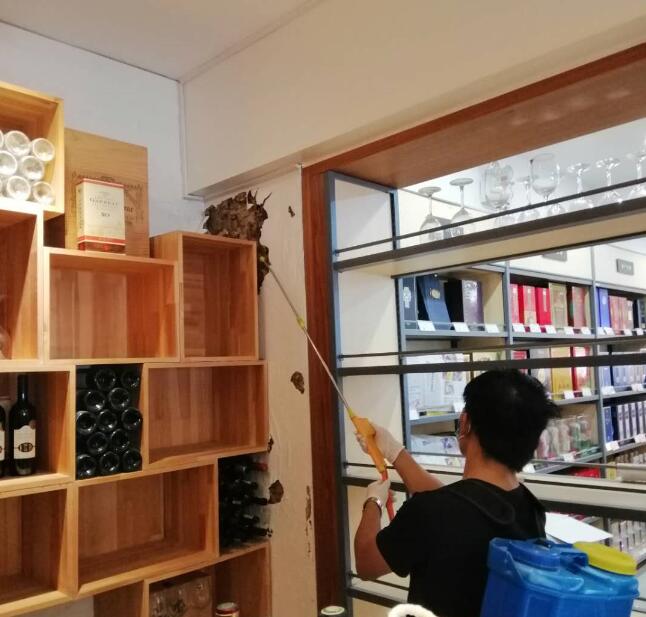 家庭如何進行白蟻防治